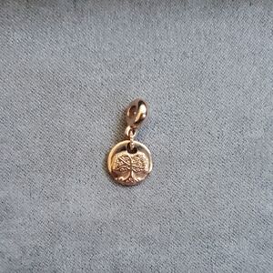 Pandora Essence Family Roots Charm